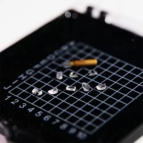 Principles of Endoscopy